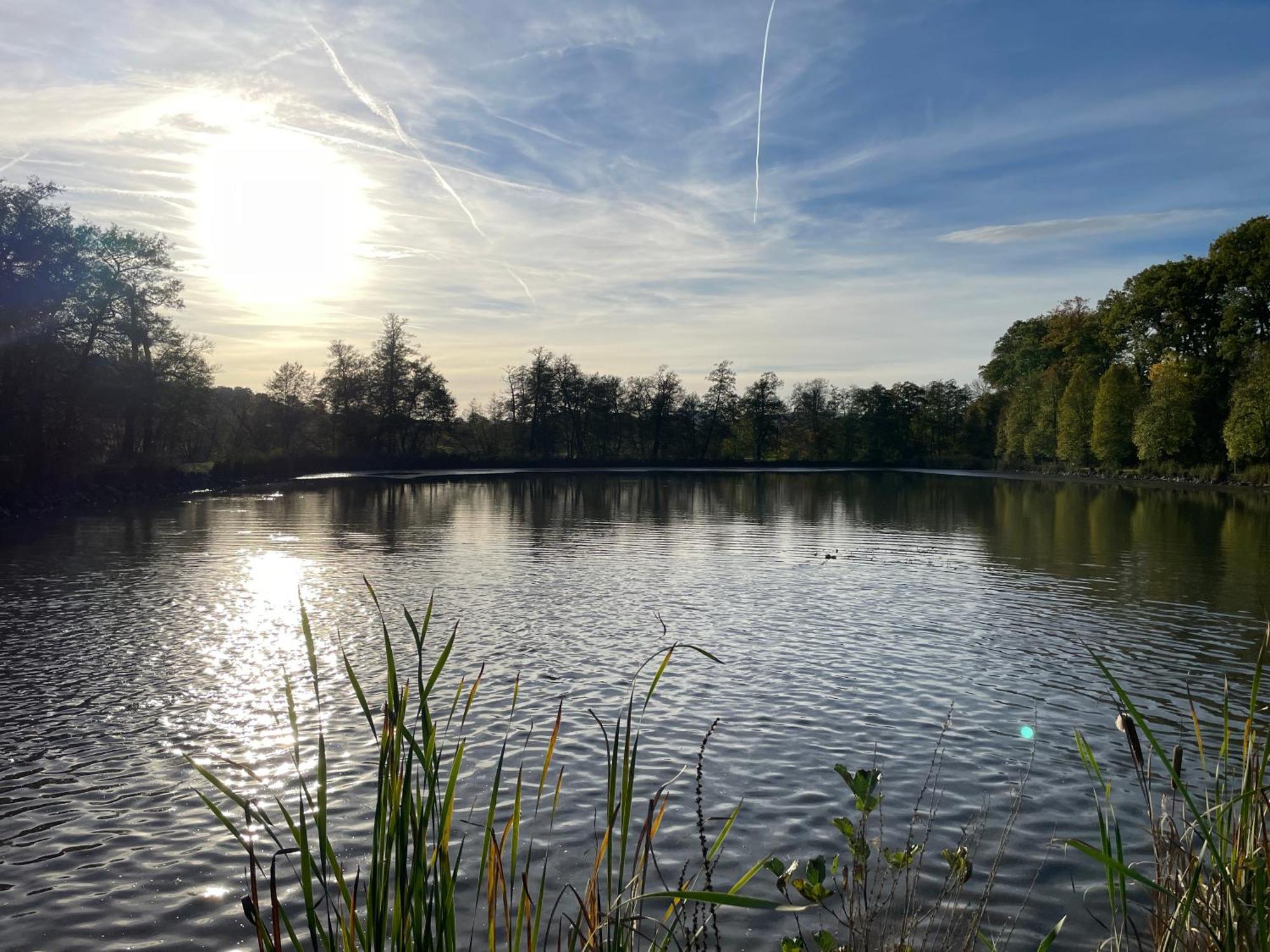 Naturnahe Unterkunft In Der Burgenstadt 施利茨 外观 照片