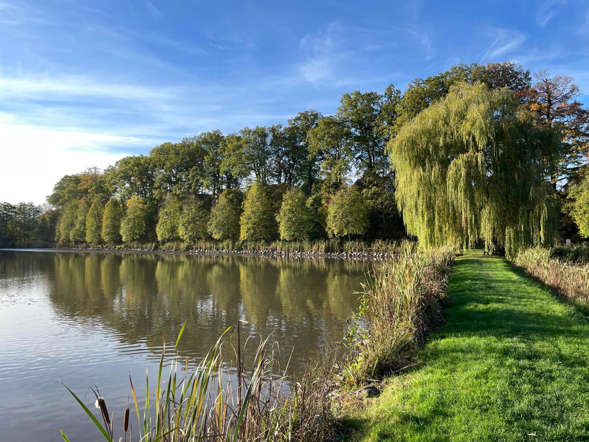 Naturnahe Unterkunft In Der Burgenstadt 施利茨 外观 照片